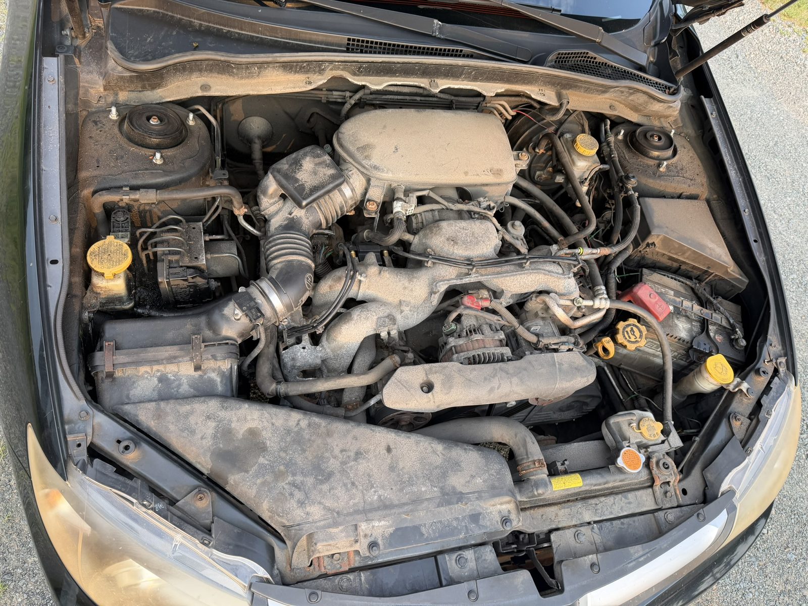 Subaru Impreza engine bay before, covered in dust